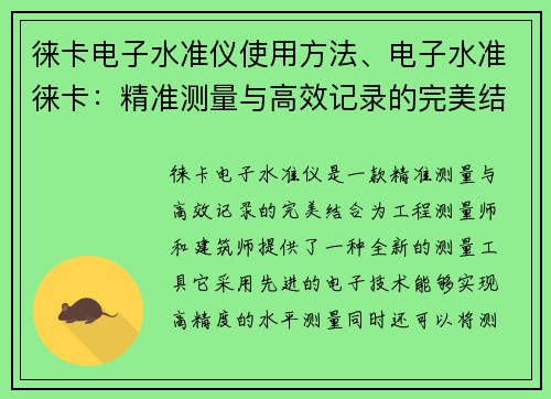徕卡电子水准仪使用方法、电子水准徕卡：精准测量与高效记录的完美结合